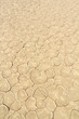 Soil detail of a dry pan, in the Sossusvlei sand dunes, Namib de