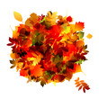Autumn bouquet with leaf for your design Autumn bouquet with leaf for your design