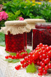 Jars of homemade red currant jam with fresh fruits Jars of homemade red currant jam with fresh fruits