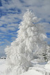 Winter am Berg