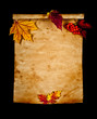 Old paper with autumn leaves, autumn note