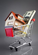 shopping cart and house