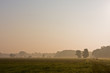 Altweibersommer