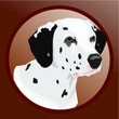 Dog vector