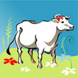 Cow vector