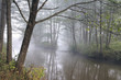 Autumn fog