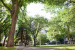 Foto: Group of University Students Walking on Campus Group of University Students Walking on Campus