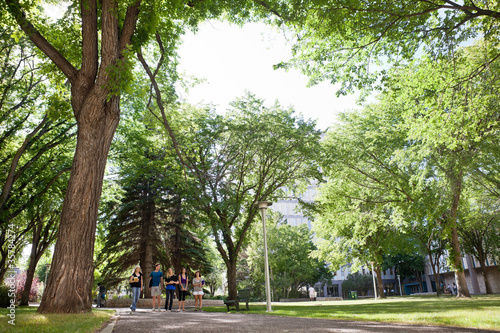 Photo: Group of University Students Walking on Campus Group of University Students Walking on Campus