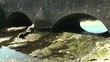 Video: Rivière et pont Rivière et pont