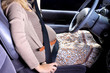Pregnant woman wear seat belts in car