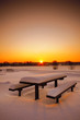 Table and benches Table and benches
