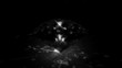 spinning diamond saustics - loopable cg animation spinning diamond saustics - loopable cg animation