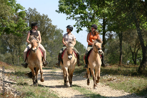Photo: Equitation balade - Riding Equitation balade - Riding