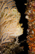 Perfekt im Wrack versteckt Perfekt im Wrack versteckt