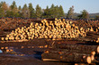 Logs