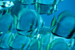 Fische im Wrack Fische im Wrack