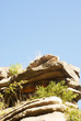 Felsen