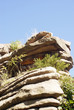 Felsen