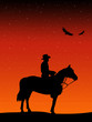 Cowboy looking at the starry sky