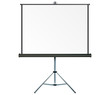 Projection screen