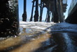 Long Beach Seawall