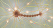 Axon Power