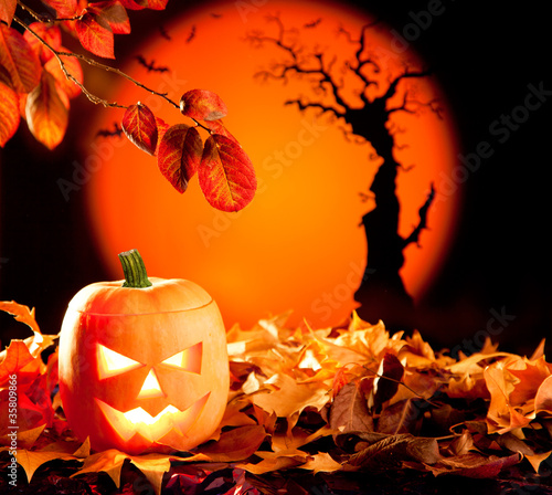Photo: Halloween orange pumpkin on autumn leaves Halloween orange pumpkin on autumn leaves
