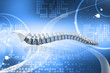 Illustration: Digital illustration of human spine in colour background Digital illustration of human spine in colour background