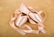 ballet shoes