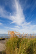 Sea view. Estonia