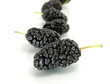 Black mulberries isolated on white background Black mulberries isolated on white background