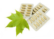 Herbal medicine in blisters isolated on white background