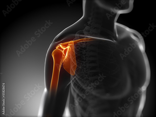 Illustration: 3d rendered medical illustration - painful shoulder 3d rendered medical illustration - painful shoulder