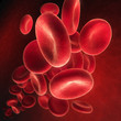 Rote Blutkörperchen 2