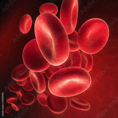 Illustration: Rote Blutkörperchen 2 Rote Blutkörperchen 2