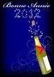 Foto: Bonne année 2012 Bonne année 2012