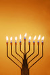 Hanukkah Menorah