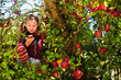 young girl eating an apple in the tree
