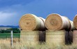 Hay Bales