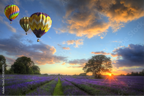 Foto: Hot air balloons flying over lavender landscape sunset Hot air balloons flying over lavender landscape sunset