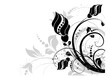 Abstract floral background for design