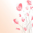pastel flowers pastel flowers