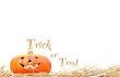 Halloween de miedo.