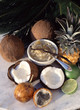 Marmelade de noix de coco aux fruits de la passion