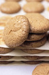 macarons de nancy