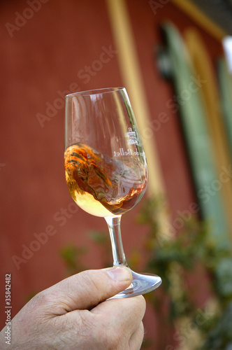 Photo: verre de rosé à déguster verre de rosé à déguster