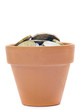 pot with money