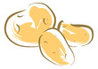 ジャガイモ　potato