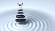 Five stones and white orchids in levitation above circular waves Five stones and white orchids in levitation above circular waves