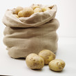 overflowing bag of potatos on whit overflowing bag of potatos on whit